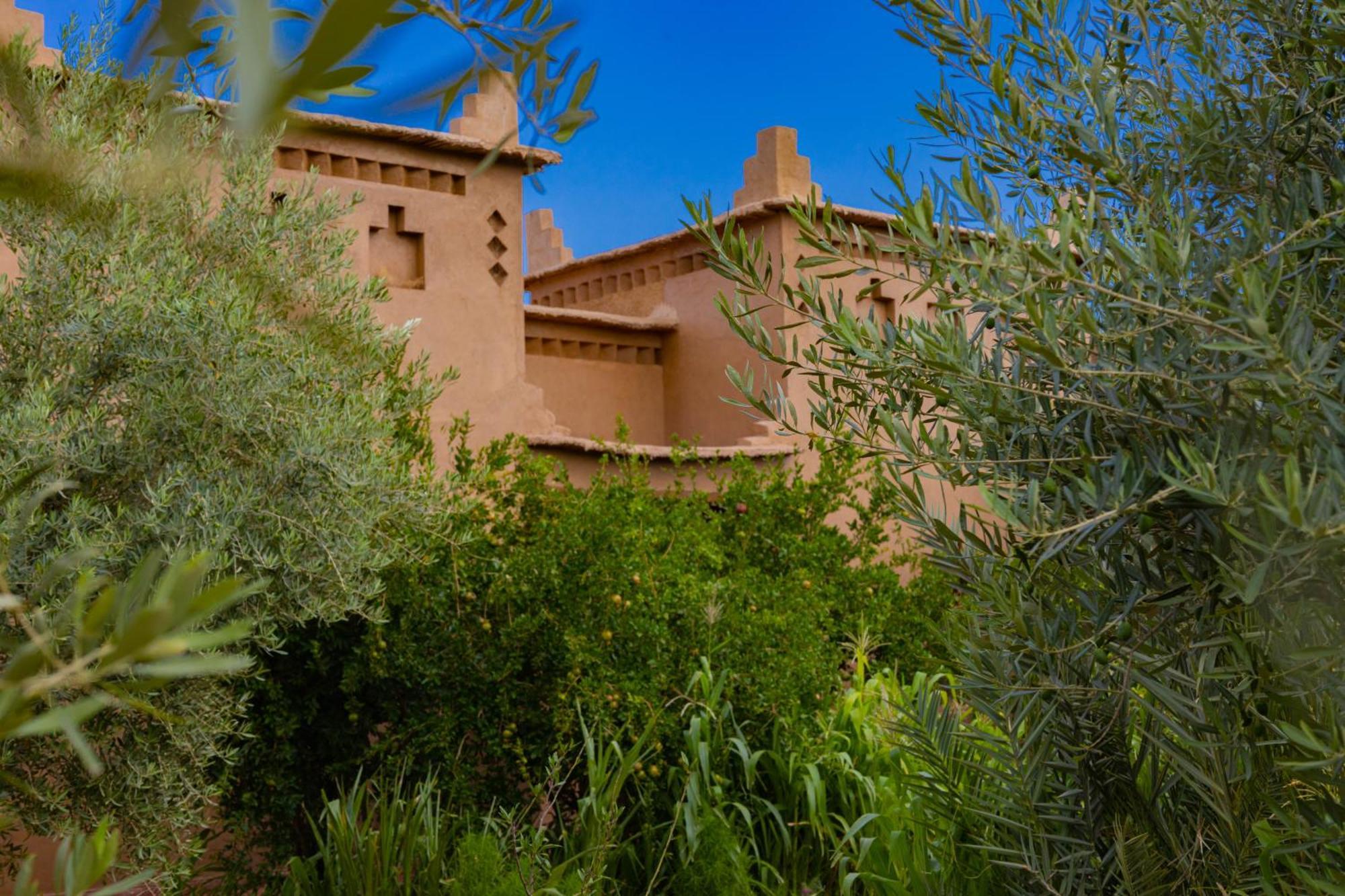 Maison D'Hote Amridil Skoura Kültér fotó