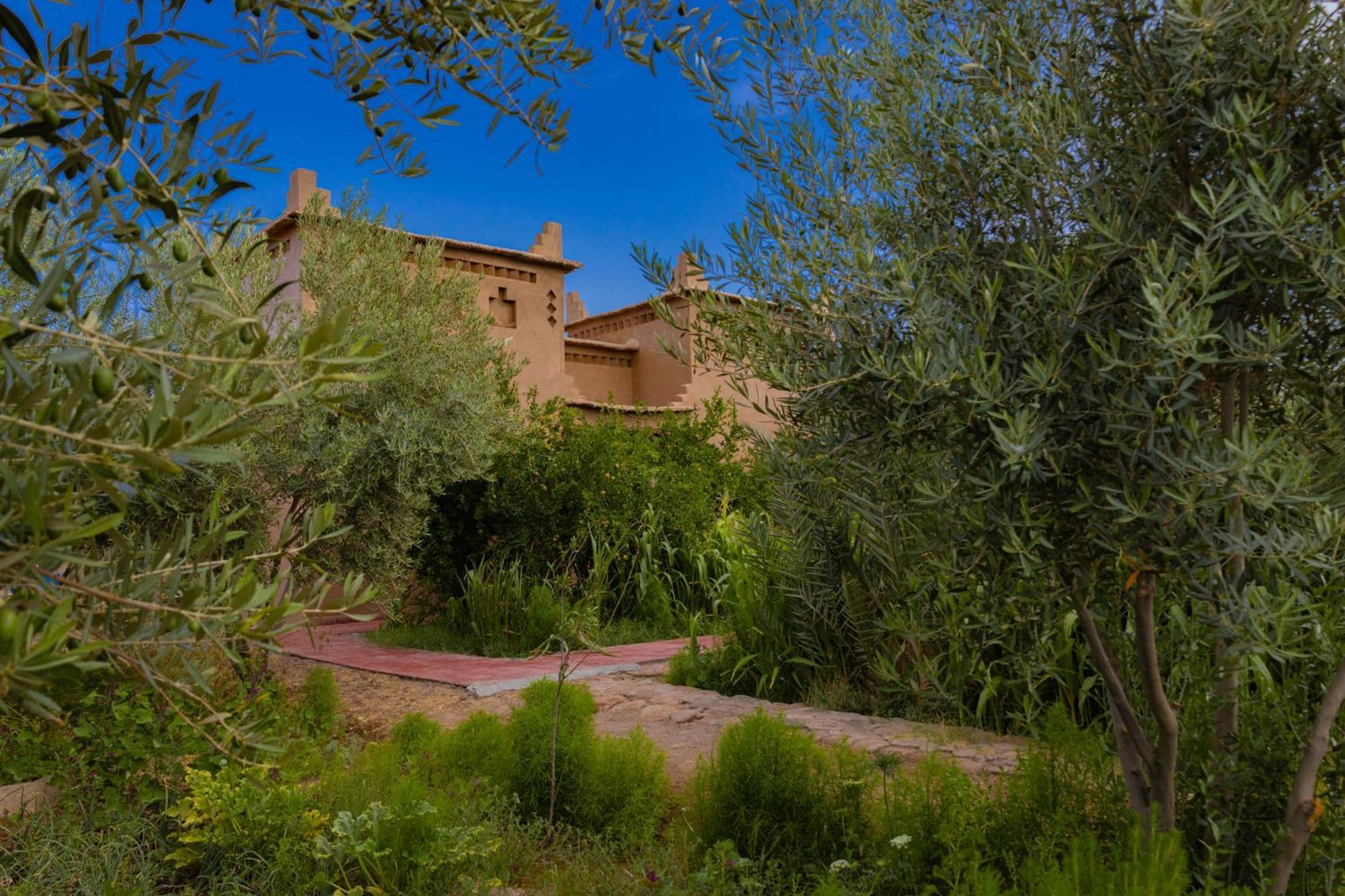Maison D'Hote Amridil Skoura Kültér fotó